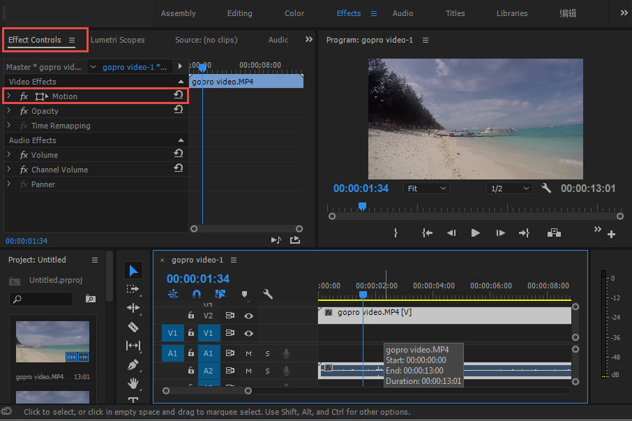 Adobe Premiere Flip Image