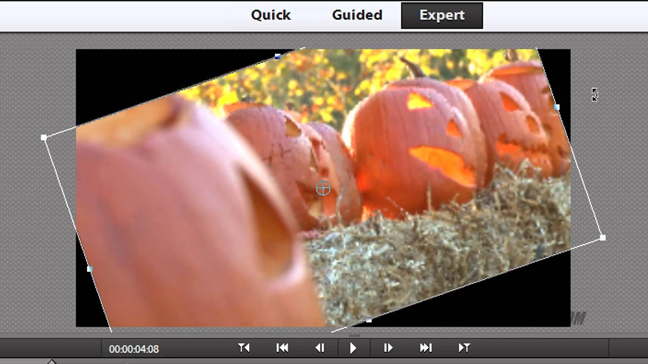 Adobe Premiere Flip Image