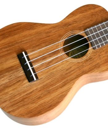 Maton Serial Numbers Search